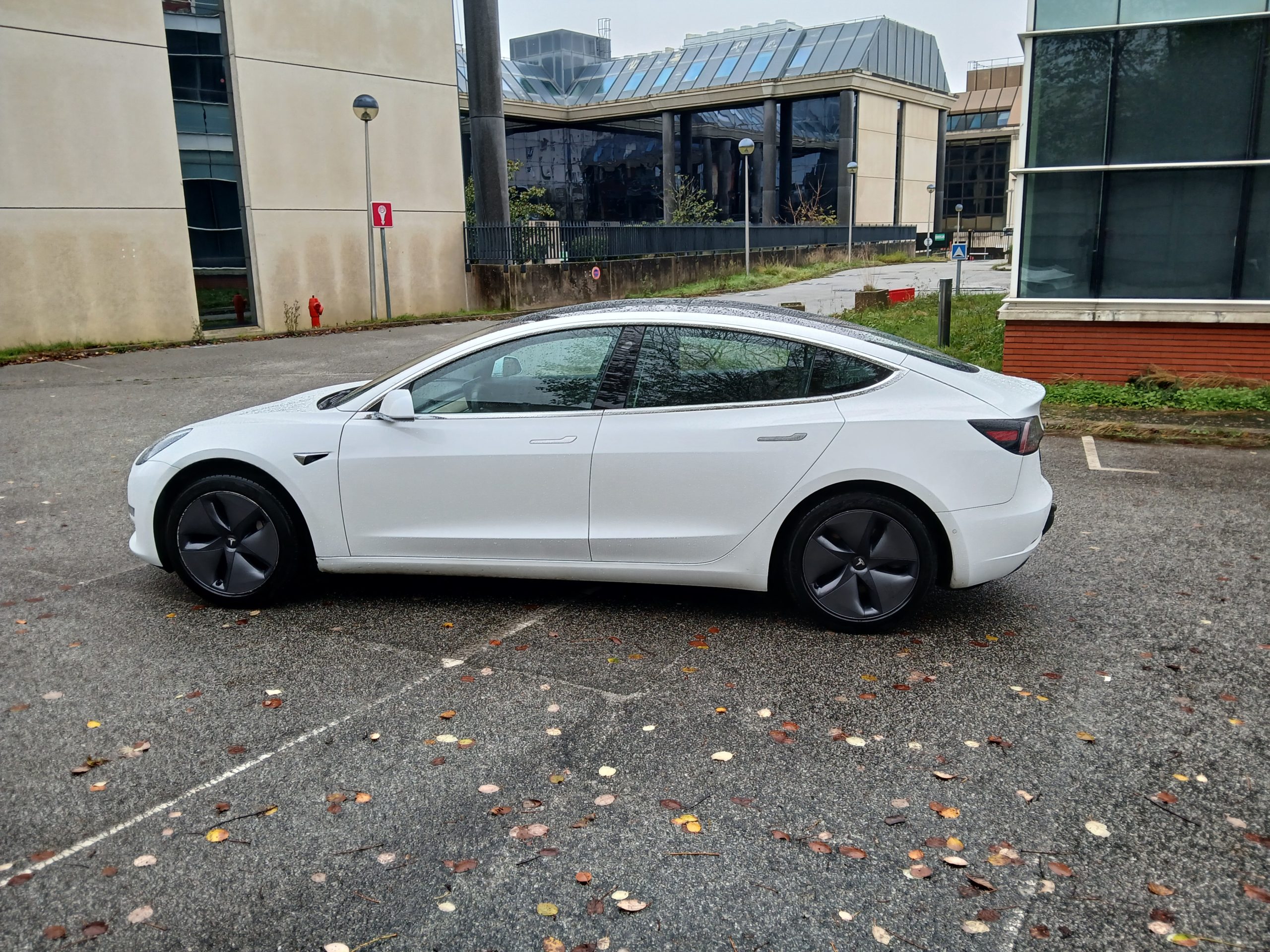 TESLA MODEL 3 Standard Range Plus RWD - 09/2019 – 146 343 km - 1ère main - VO 247 – Image 6