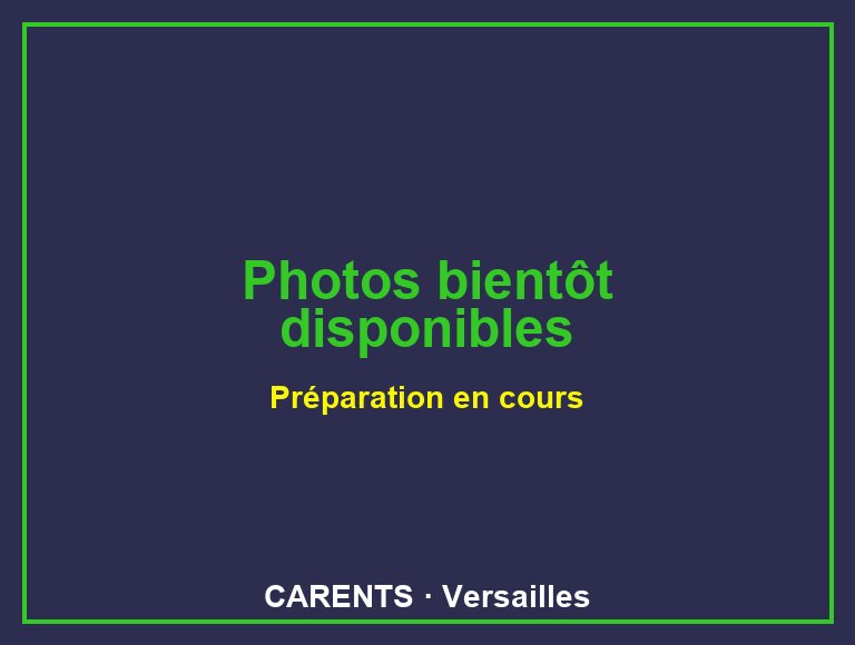 VO 381 - Photos bientôt disponibles