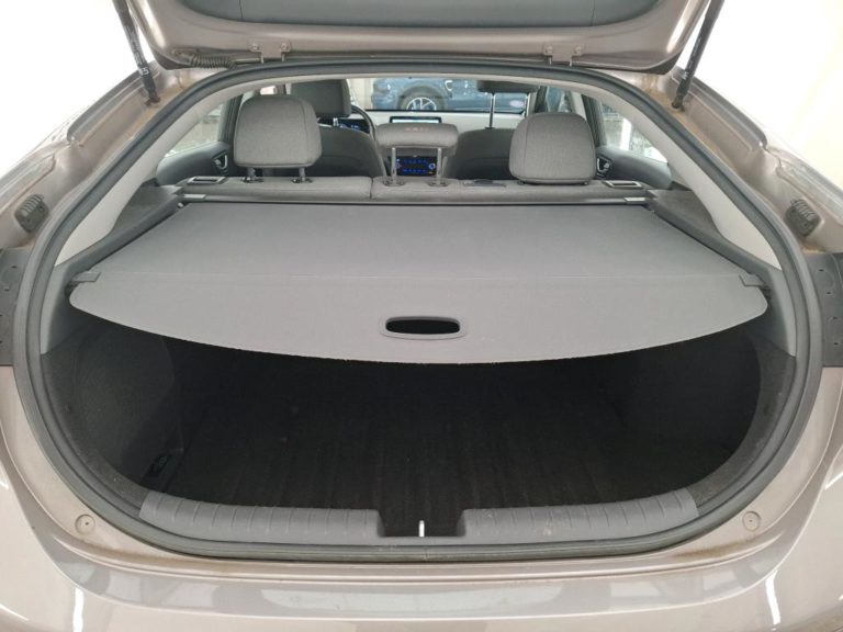 Hyundai Ioniq VO 422 - Photo 11